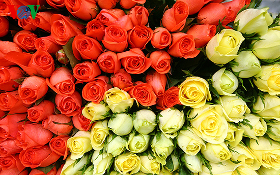 Blumenmarkt Quang An in Hanoi vor dem Tetfest